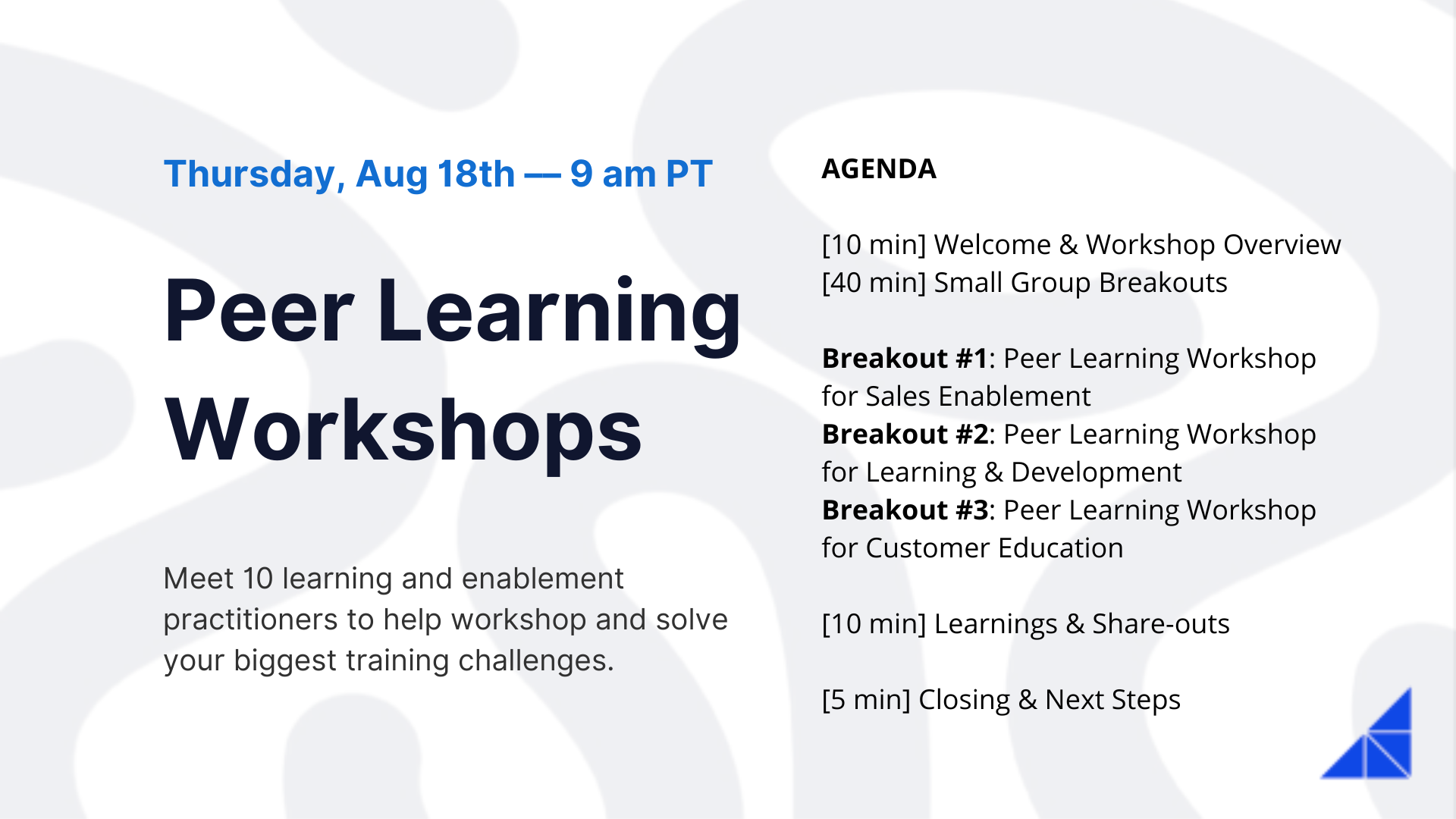 Peer Learning Workshop Agenda